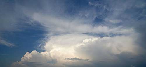 工作分工的经典名句