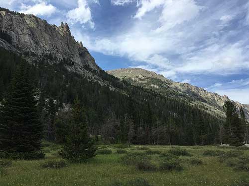 描写春天的唯美句子古风