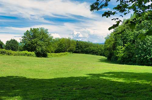 感恩的赞美诗歌大全