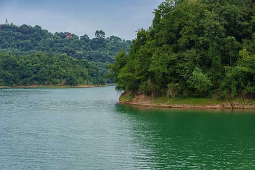 感慨长大的句子