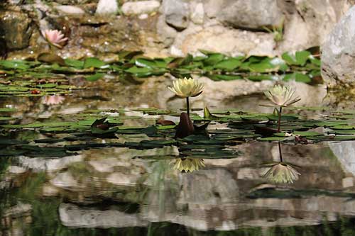 高中作文高级句型