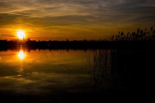 对工作失望的句子 心寒的句子