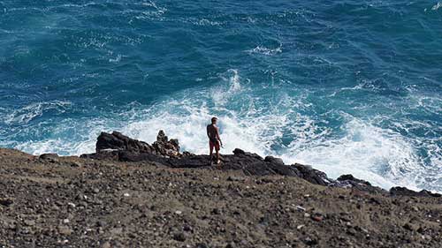 带鸢尾花的古风句子