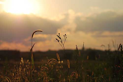 工作提升的句子