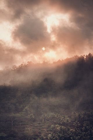 带病坚持工作的句子