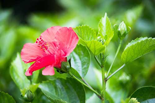 努力工作好好生活语录