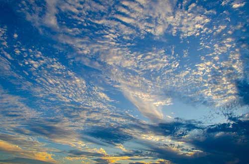 父母给买了车感谢的句子