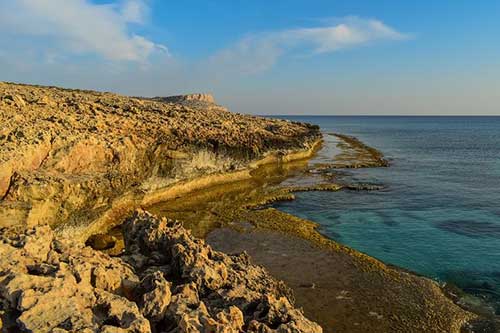 感慨多年友谊的句子
