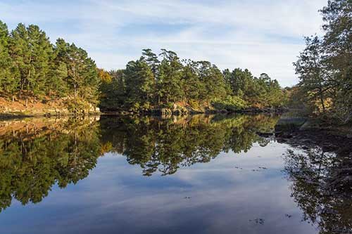 工作负责任的句子