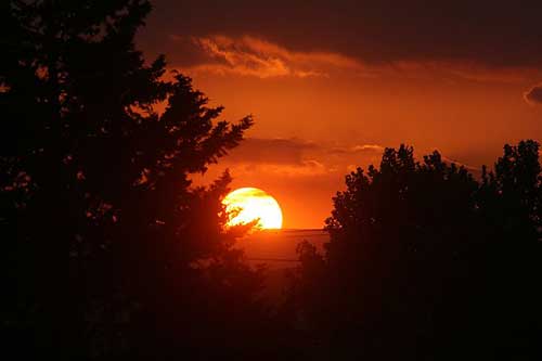 感悟珍惜幸福的句子