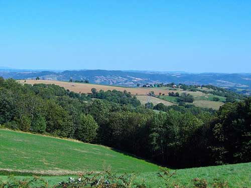 答谢酒会感谢的话