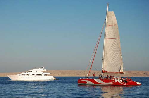 出院时感谢医护的话