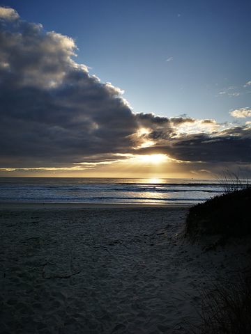 今日成长的句子工作