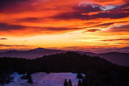 感恩快乐的句子