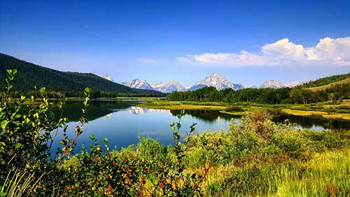 工作责任心语录