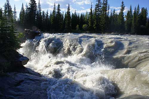 你在为谁工作经典句子