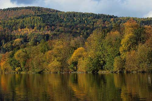 流星雨唯美句子古风