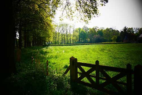 我姓周的专属句子古风