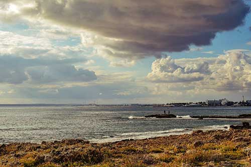 古风清雅的句子