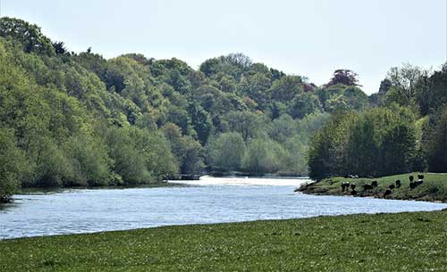 感恩兄弟的句子经典语录