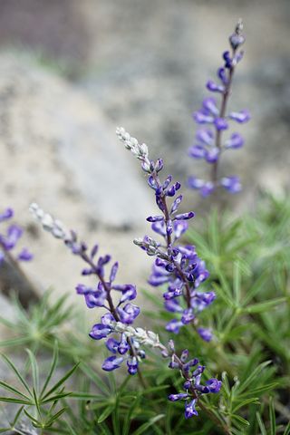 快乐工作的句子