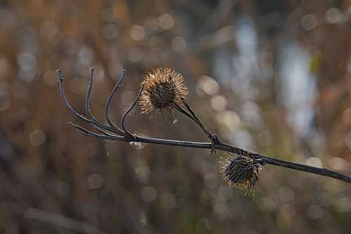 高三幽默励志语录