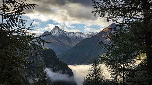 感谢爸妈的短句暖心