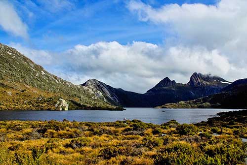 感谢员工辛苦工作的话