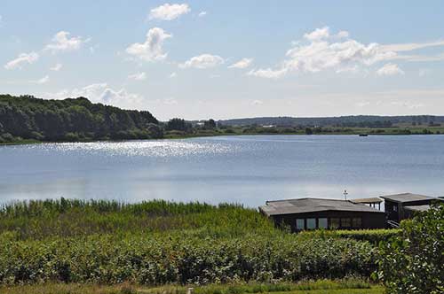 吃瓜的幽默句子