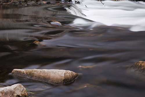 风雨无阻坚守岗位句子