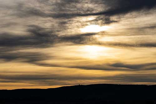 感情花语的句子