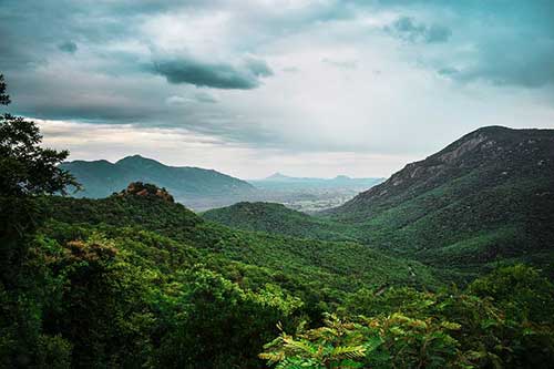 感恩师长的诗句