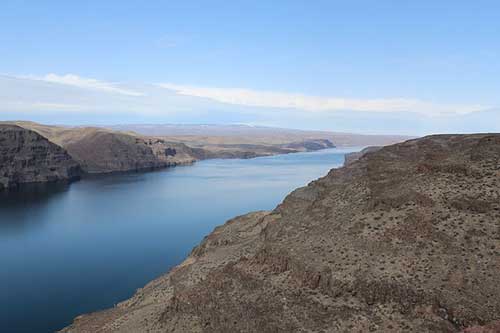 带声的诗句飞花令100句