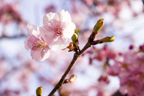 对业主表示感谢的话