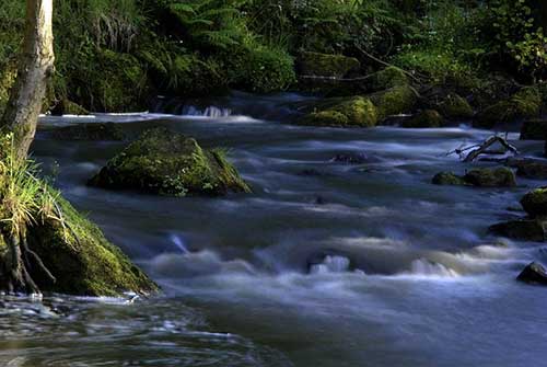 感谢顾客信任温暖的话
