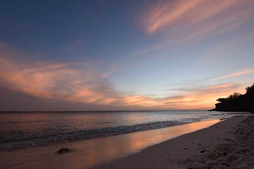 教育情怀的句子