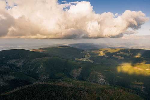 爱心汤的感谢的句子