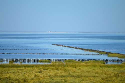 搞笑带娃经典语录