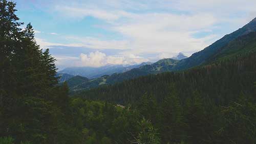 关于茶具的诗句