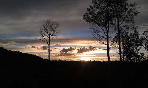 辞职感谢同事的话