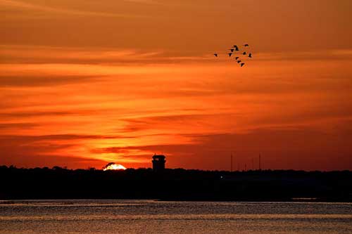 工作好评的语句短句