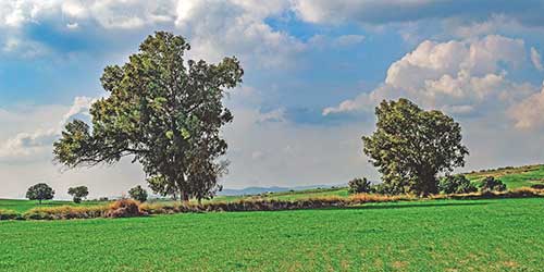 建筑工人辛苦的句子