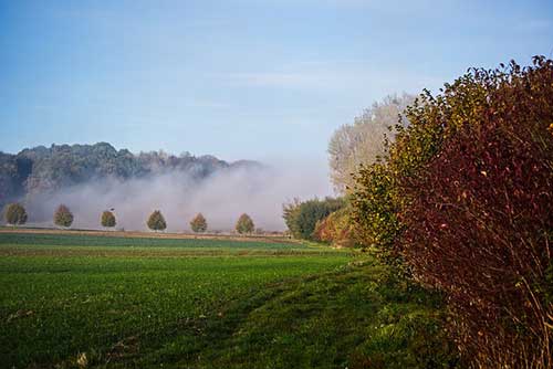高级的表白句子