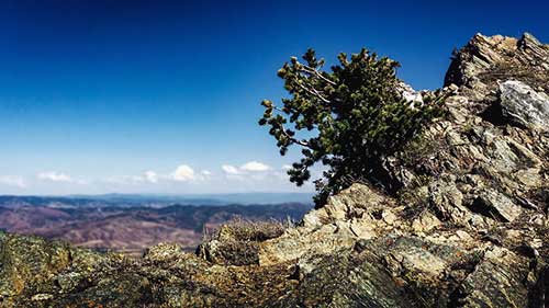 关于工作顺利的词语