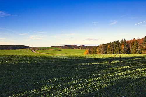 关于找对象的幽默句子