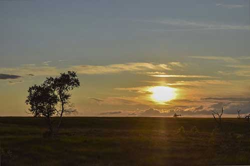 今日感悟工作一句话