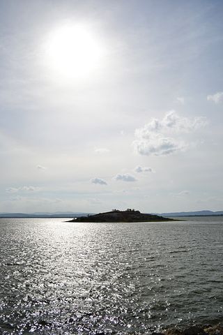 辞职后感谢领导的话语