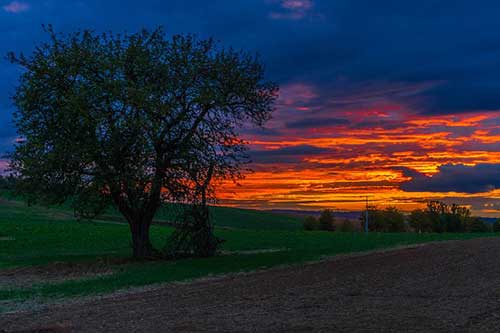 感情中最伤人的十句话