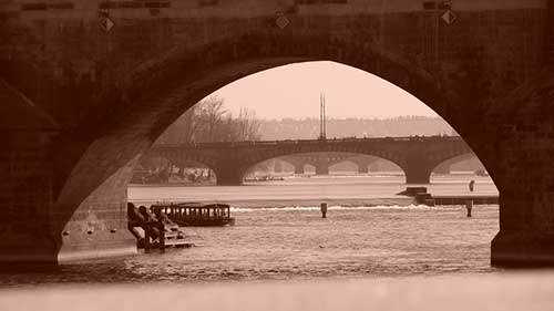 春雨后的景色描写诗句