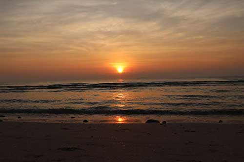 感谢班级家委会的话